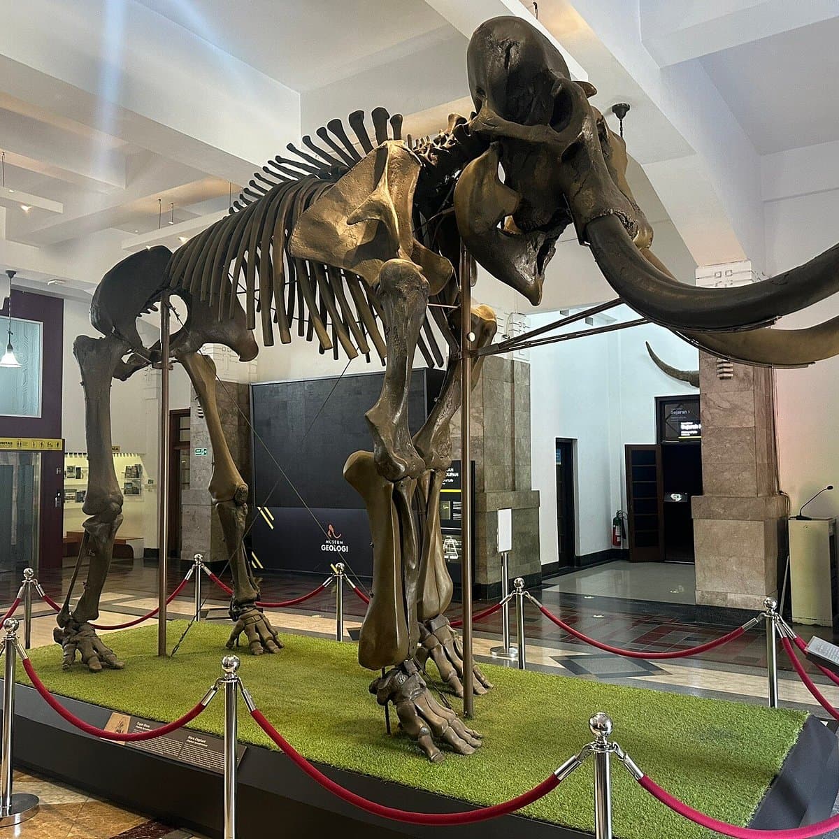 Museum Geologi